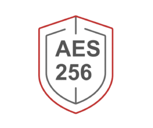 AES a brute force protection algorithm approved by the American standards organization 